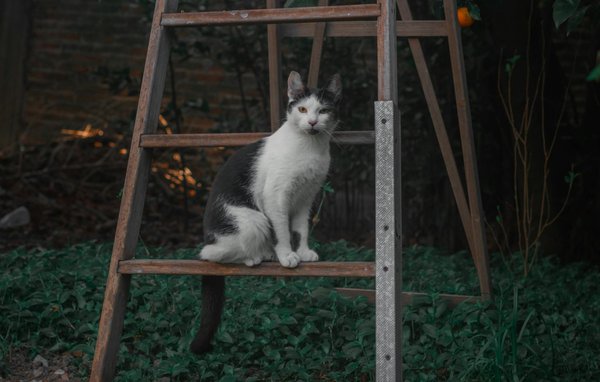 Cancérologie : enjeux et avancées pour un futur meilleur