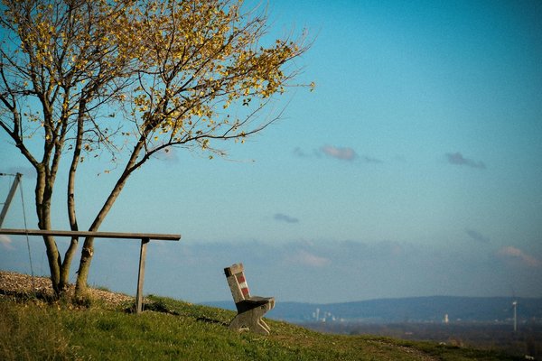 Le rôle de l'entourage dans le soutien à un individu atteint de trouble alimentaire